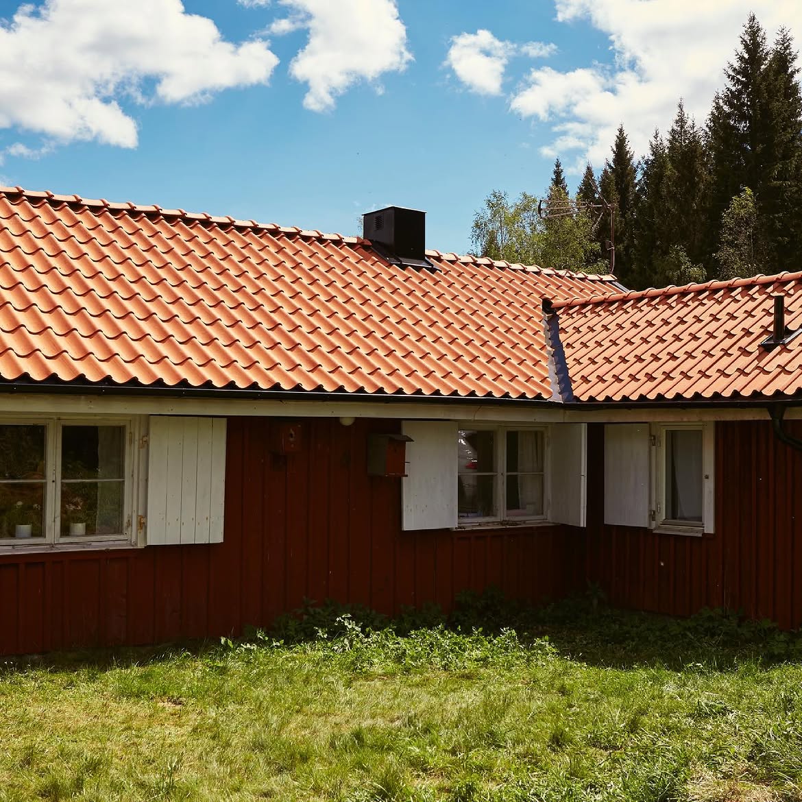 Rött trähus med nylagt tegeltak en sommardag